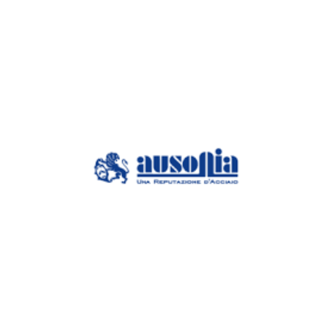 Ausonia - Cazzuolino a punta tonda Tekna 2000 cm.14 - Pisan Ferramenta