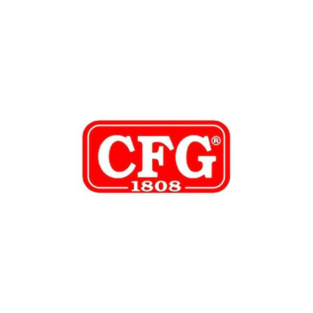 CFG- Smalto spray acrilico professionale - 400 Ml.bianco grigio ral 9002 - Pisan Ferramenta