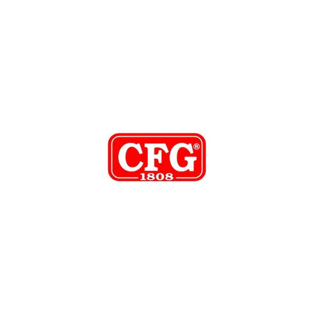 CFG- Smalto spray acrilico professionale - 400 ML testa di moro ral 8019 - Pisan Ferramenta