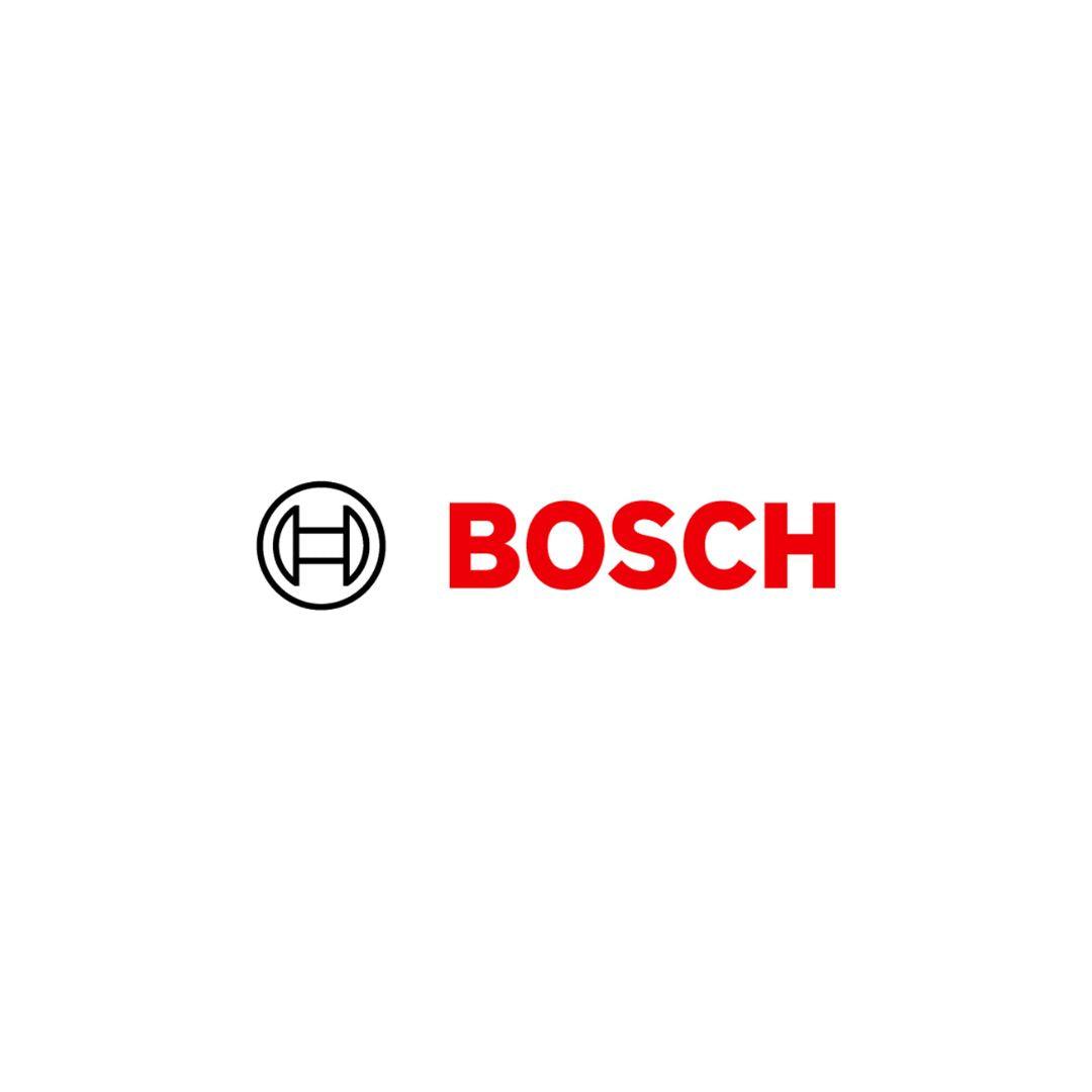 Bosch-Scalpello a punta conica tornita - 250 mm - Pisan Ferramenta