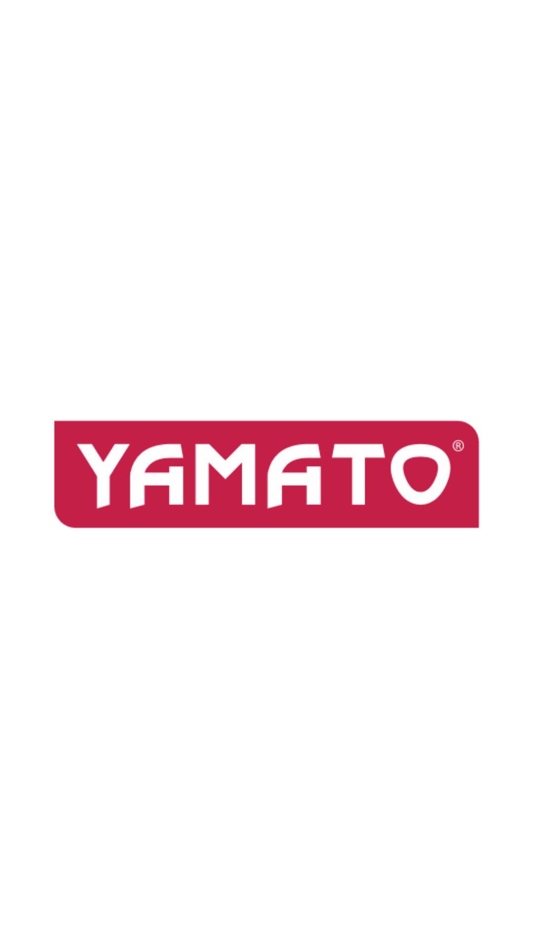 Yamato - Pirografo/saldatore elettrico 30W con 6 punte Yamato