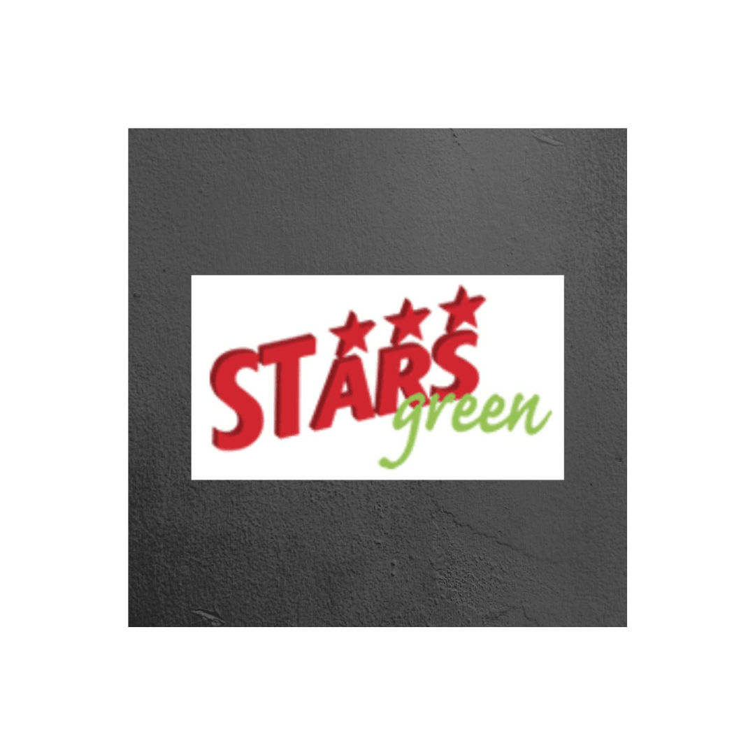 Mini sega batteria Easycut Pro Stars Stars